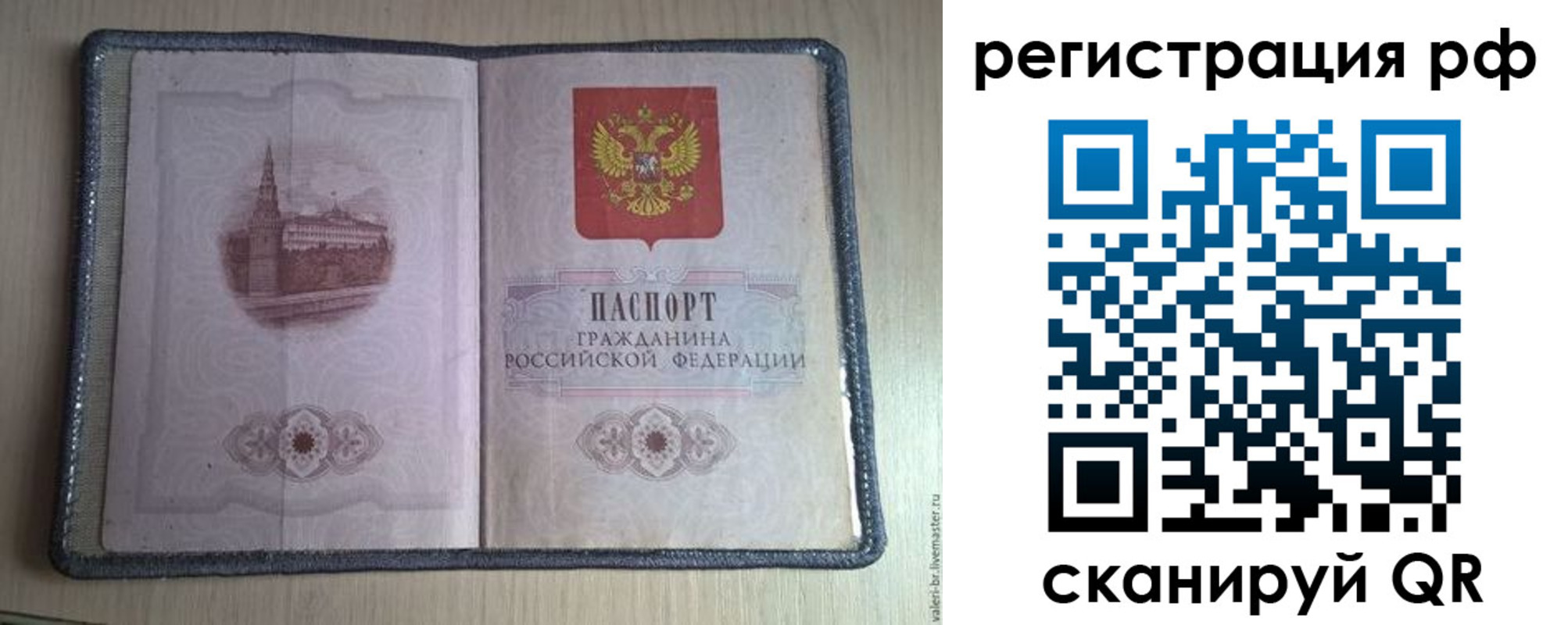 прописка поиск в Курганской области
